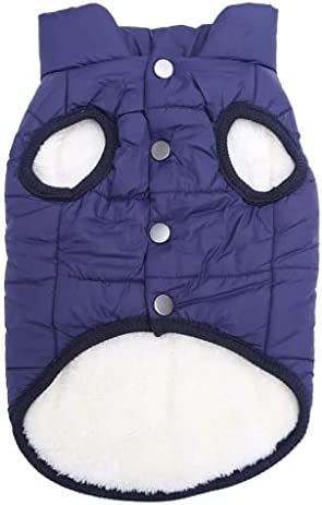 HFDGDFK Cat clothes autumn and winter warm cats and dogs soft fleece pet cat vest jacket windproof jacket kitten cat clothes (Color : Blue, Size : 3XL code)